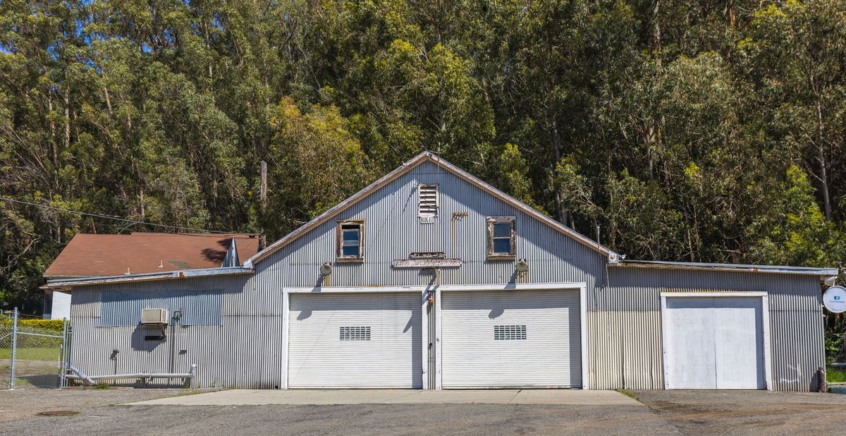 A metal-sided workshop building with three roll-up doors at the edge of a wooded lot